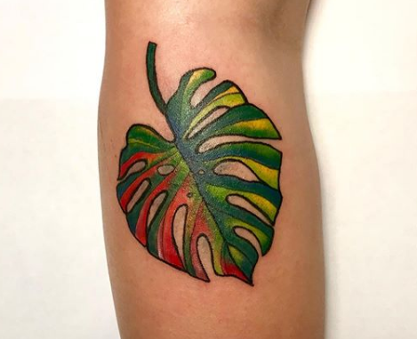 Tropical Tattoos for August | Buy the Radiant Fruit Set online