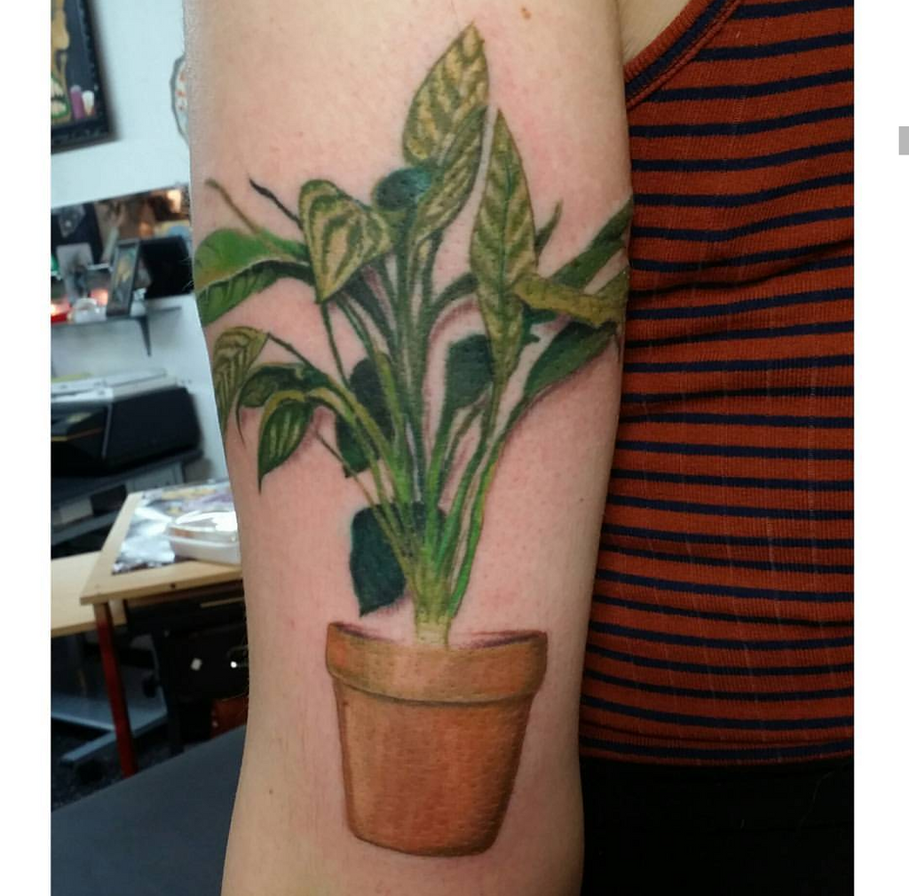 Incredible House Plant Tattoos | Buy green tattoo ink online