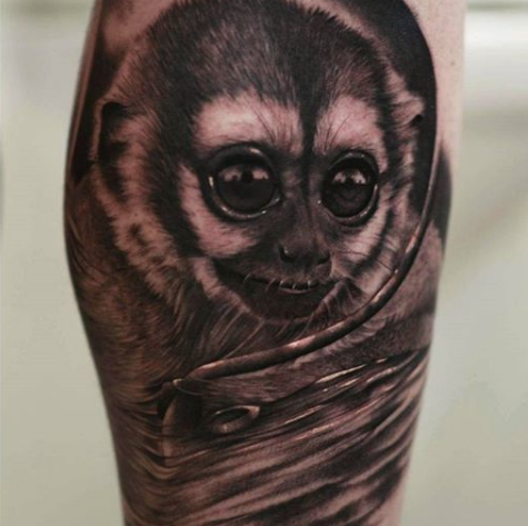 Amazing Animal Tattoos by Alan Hindes | Eternal Tattoo Ink - All colours