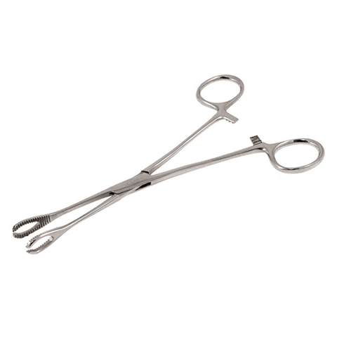 Steel Foerster Forceps (aka Sponge Clamps) - Standard Size (Closed)